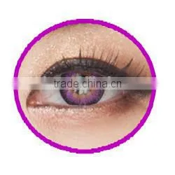 2015 NEW arrival seeshell contact lens korea lenses