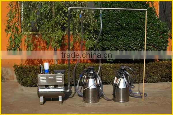 new type fixed pipeline milking machine for cow or goat with two buckets