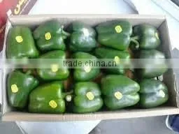 FRESH SWEET BELL PEPPER