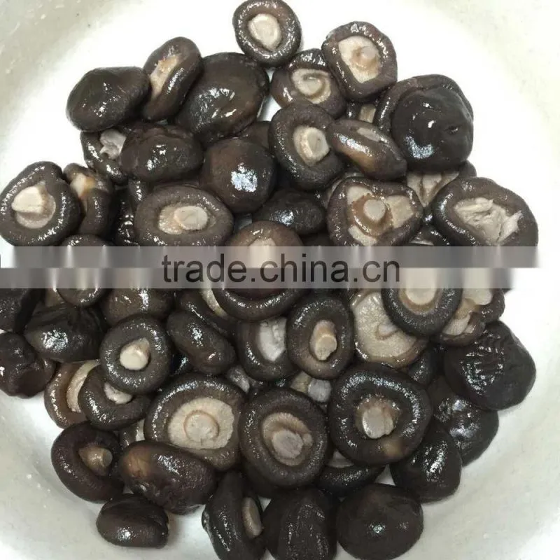 canned shiitake mushroom shiitake in tin price for shiitake