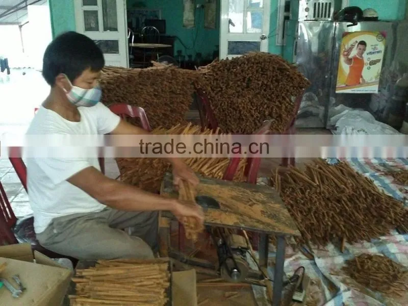 VIETNAM MANUFACTURER CINNAMON/ CASSIA ( STICK/CIGARETTE)