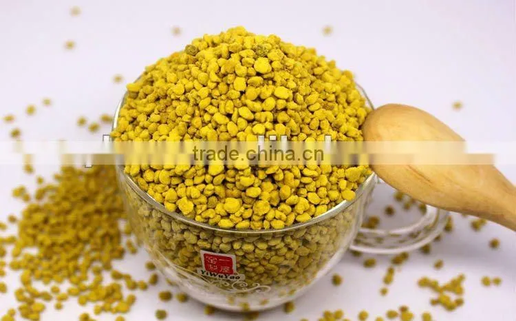 Chinese pure rape pollen/rape bee pollen for Korea exporting