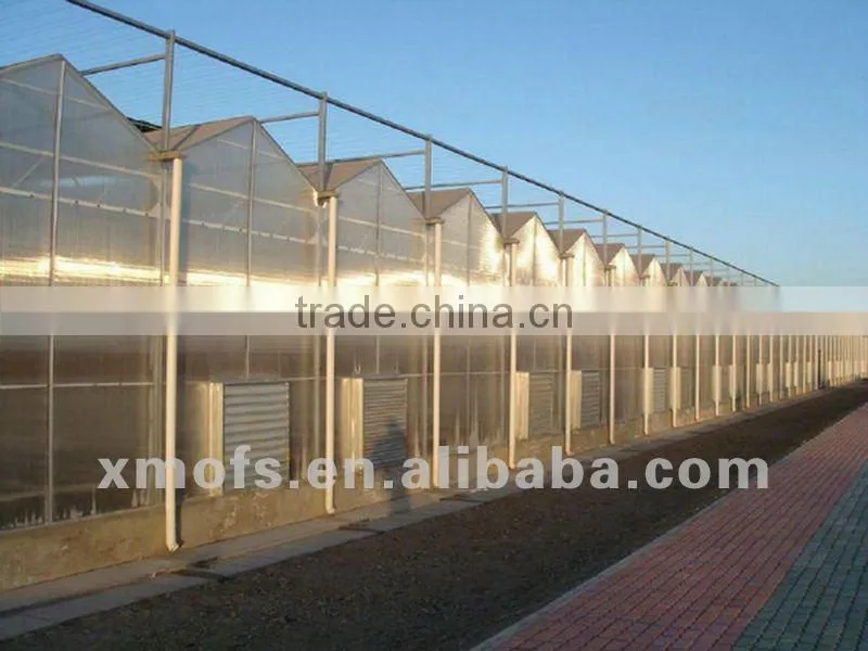 Roof Exhaust Fan for Industrial