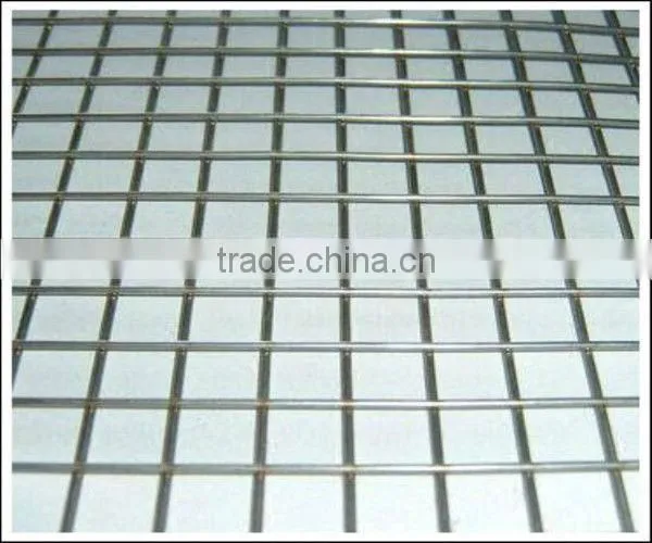 Welded Wire mesh(super quality and competitive price)