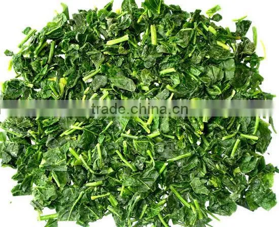 electric automatic leaf vegetable cutter CHD-20