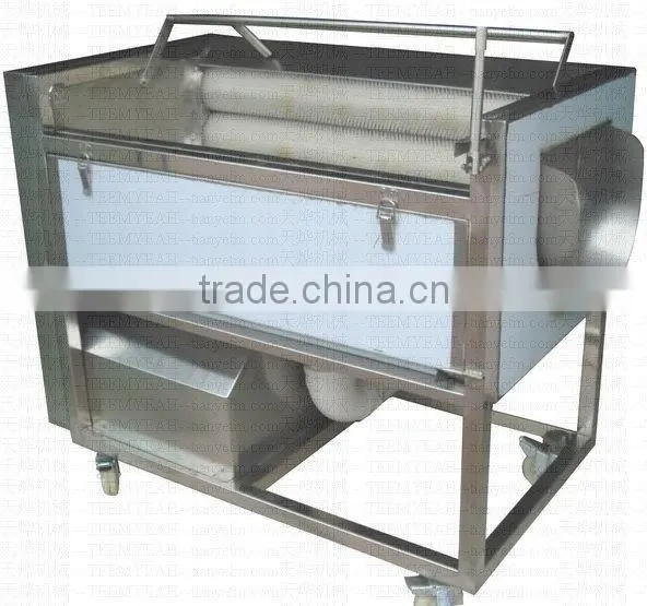 TY-1000A Brushes Potato Washing Machine (Video) Manufactory