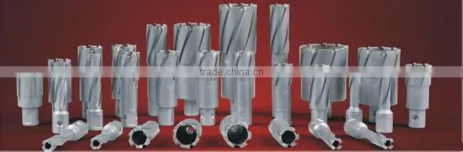Bridge T.C.T Hollow drill bit for sale