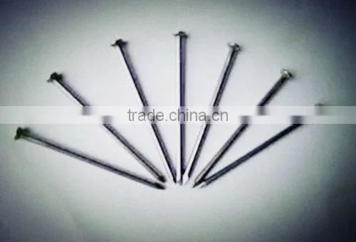 Salable Umbrella Head Roofing nails Best Quality and Professional Factory