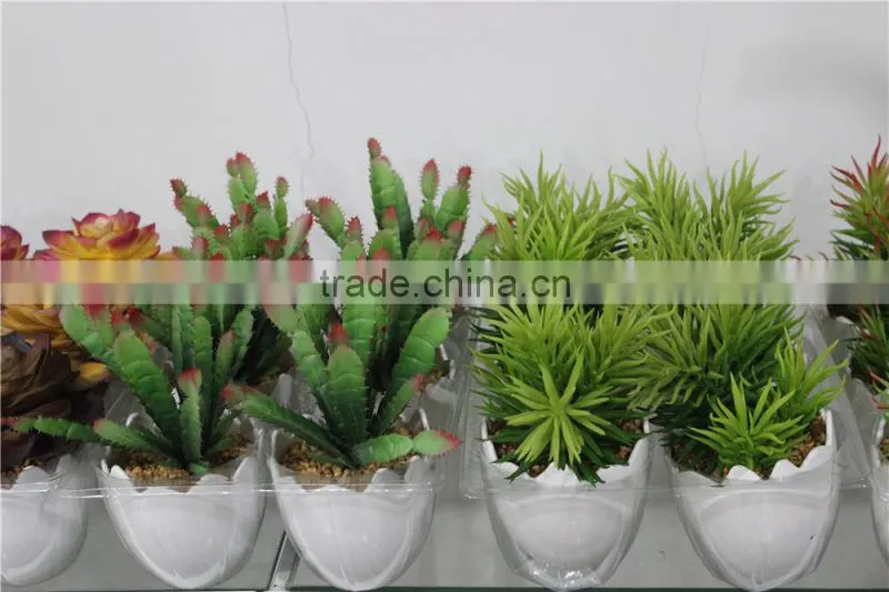 artificial succulent plants making
