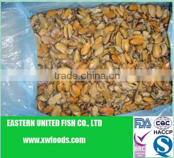IQF cooked blue frozen mussel meat