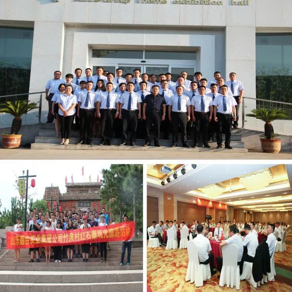 Shandong Hengzhan Building Materials Co., Ltd company overview - view 3
