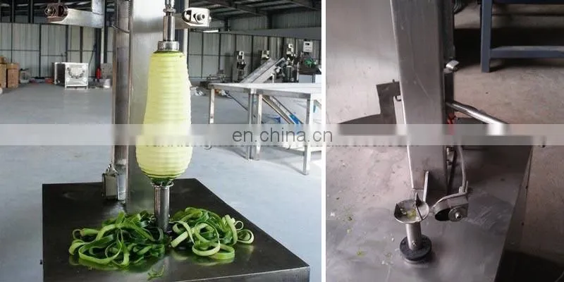 WS-130FP industrial melon fruit mango papaya peeling machine