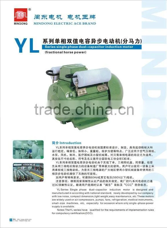 Single phase asynchronous motor