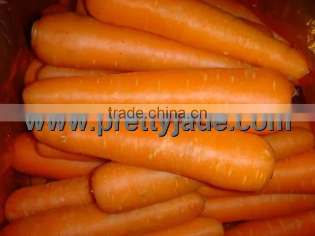 Chinese frozen carrot