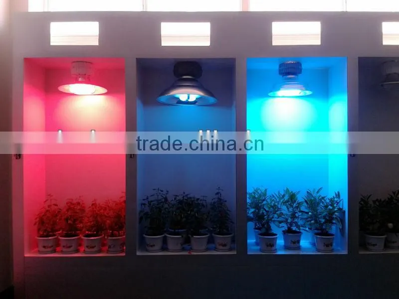 Induction plant growth light of red and blue