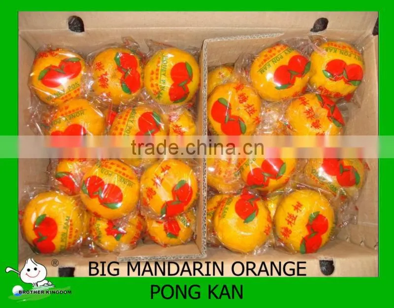 Sell big mandarin orange Brother Kingdom