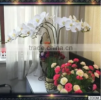 hot sale table centerpiece orchids thailand