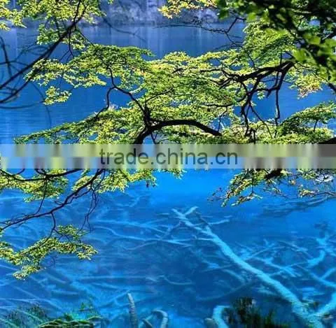 High quality glossy photo paper poster