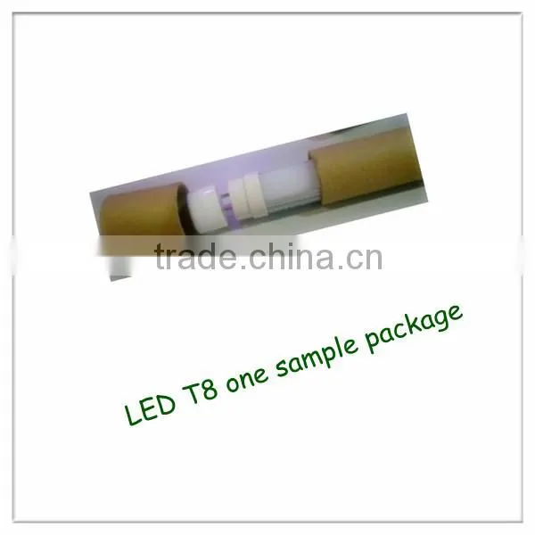 neon tubes led