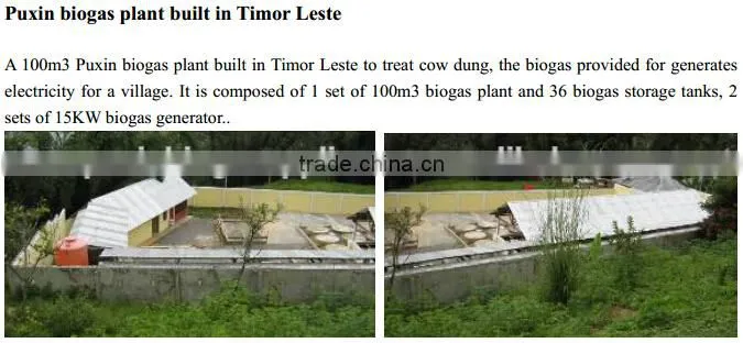China PUXIN Soft Dome Biogas Digester for Hog Manure Treatment