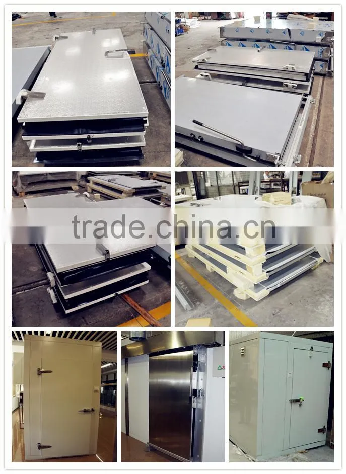 polyurethane Cold room door