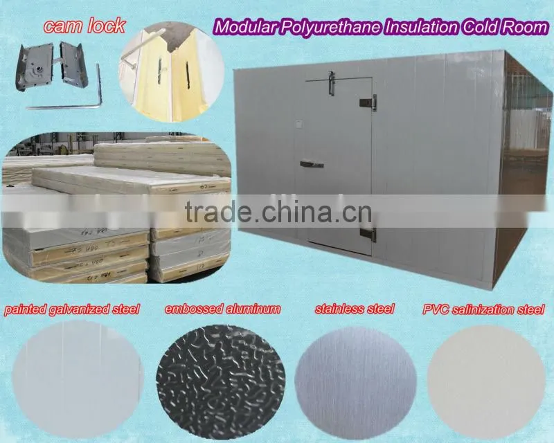 Modular cold storage with polyurethane insulated