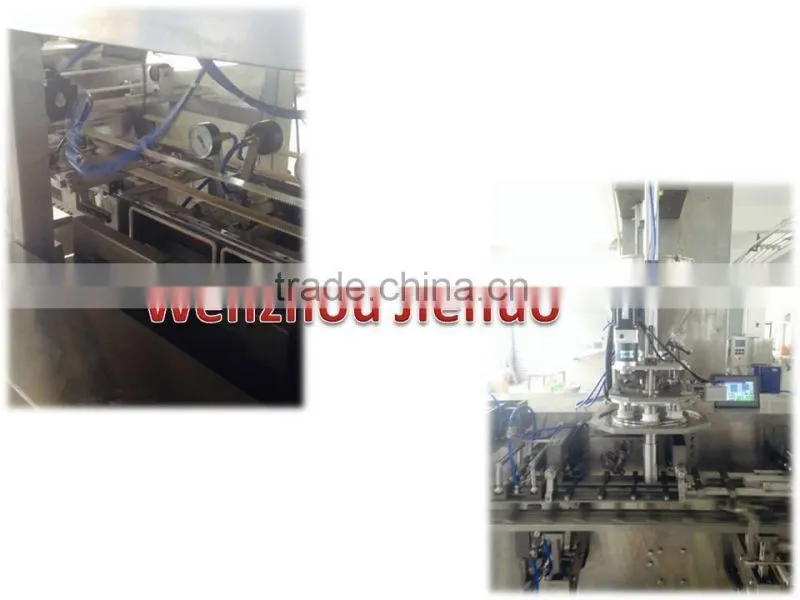 Auto competitive1kg bag packing machine