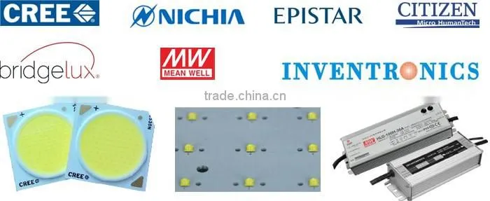 200w-800w high wattage industrial light Meanwell/Inventronicd driver 800w led high pole lamp