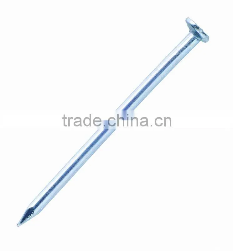 competitive price cheap concret nail with 30 years quality cetification