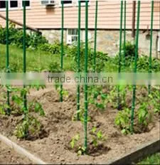FRP plant support Fiberglass stakes