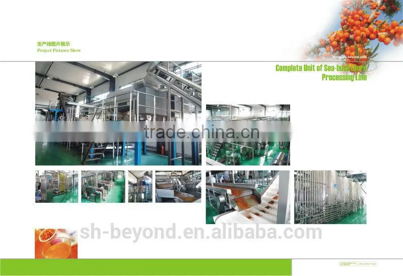 Sea Buckthorn fruit juice processing line