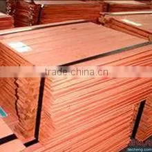 high quality copper cathode hot sale (B54)