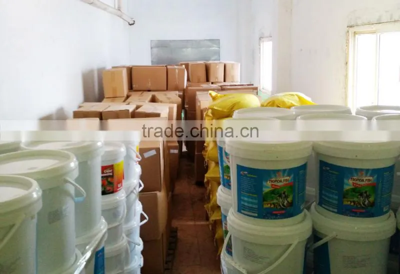 High Protein Sun dried earthworm
