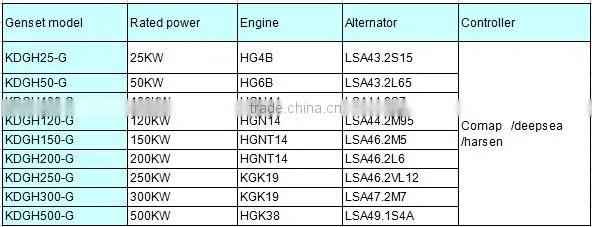 BOT/ CDM/TURN KEY biogas project/biomass power plant/Biogas generator power plant