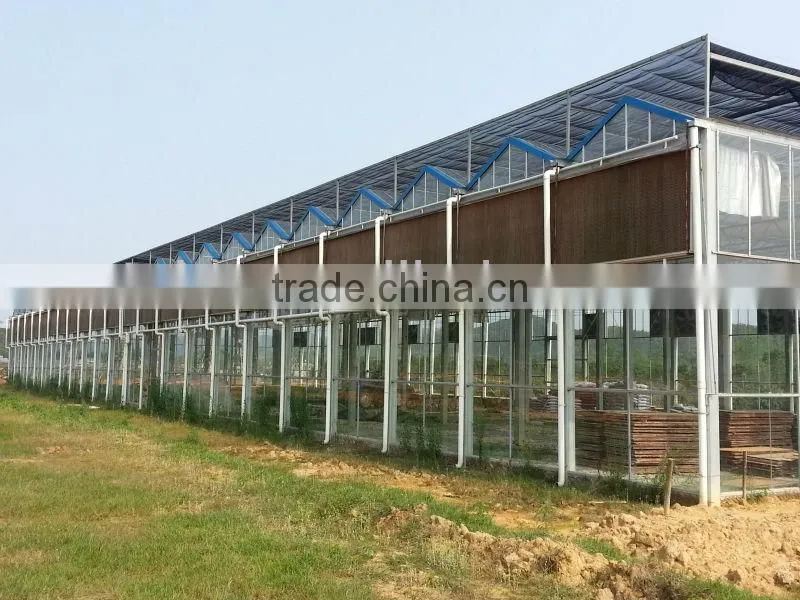 50 inch Hammer Fan,Poultry Exhuast Fan,workshop exhaust fan in tuhe