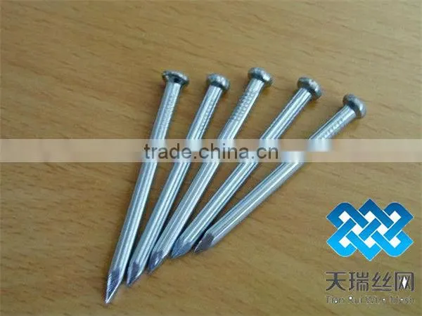 Nail/wire nail/common nails