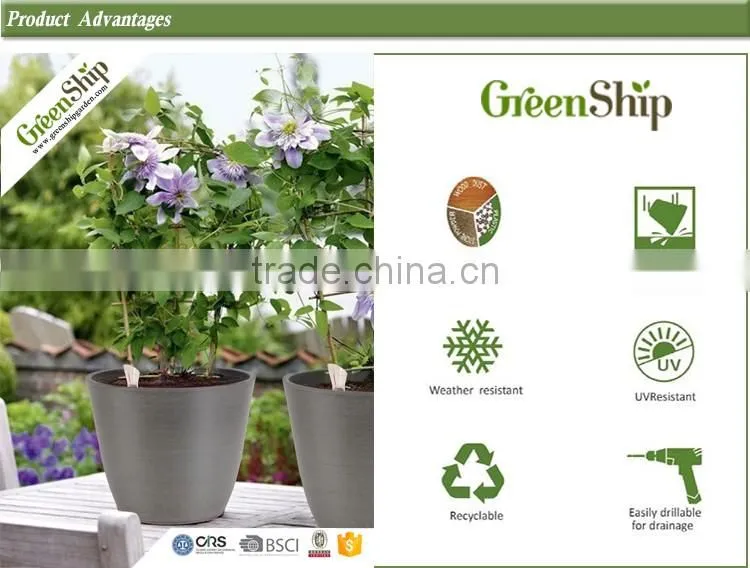 Decorative Garden Bonsai Pots Wholesale for outdoor