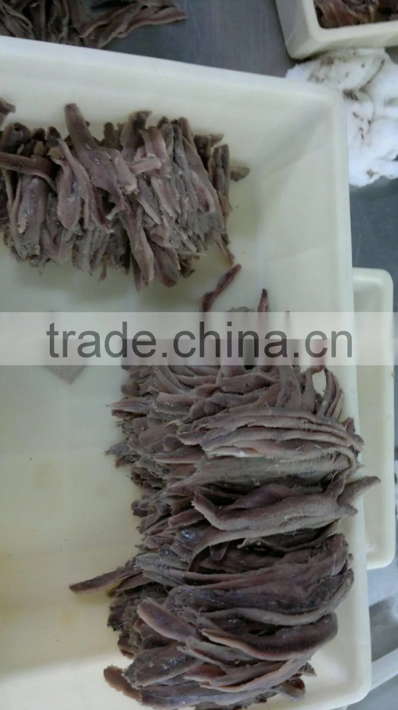 High quality salted anchovy fillet