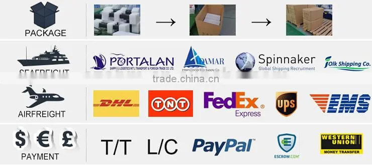 2016 Lastest OEM Aluminum Alloy 9 LED UV LED Flashlight Torch