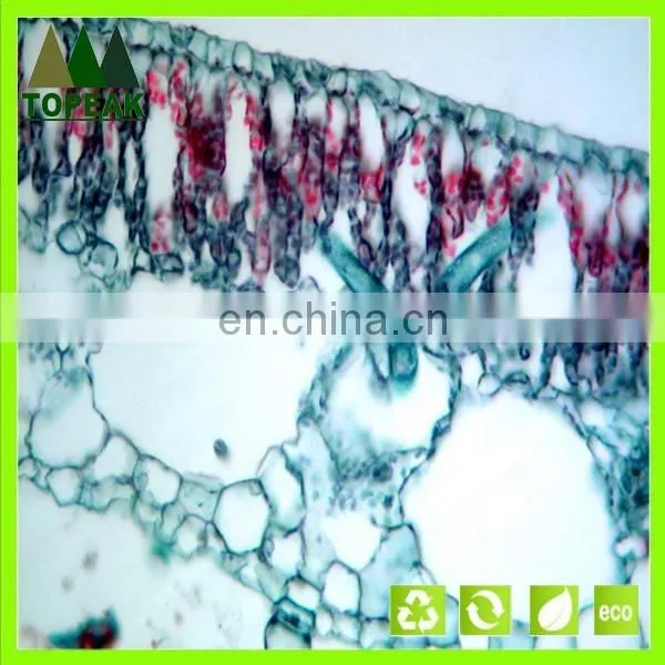 Educational medical microbiology prepared slides botany microscope slides microbiology prepared slides