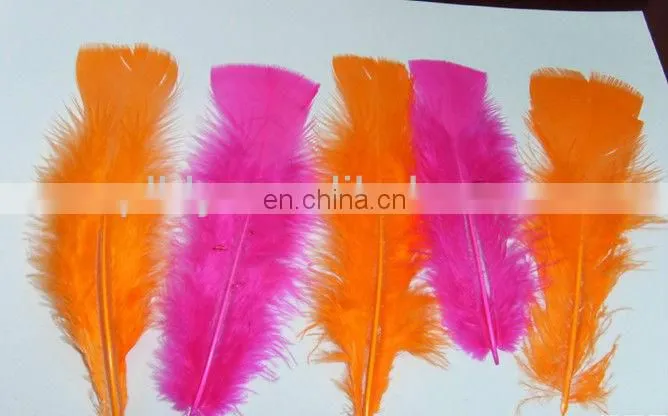 pheasant colorful feather, chicken feather
