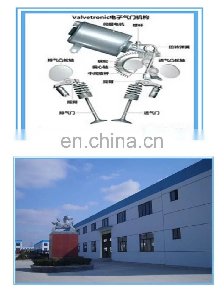 Generator spare parts natural gas engine valve for Guascor SFGLD 560