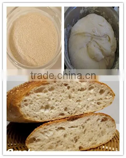 Instant Dry Yeast (Bakery Using), China origin, best quality
