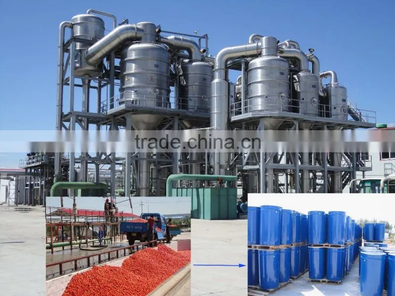 Professional Manufacture tomato paste production line