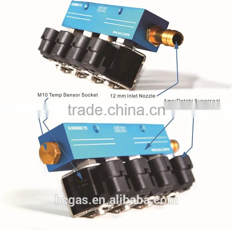 cng injector rail for lpg cng