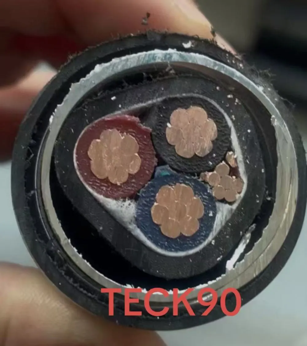 TECK90 Cable Applications: Where It Is Used Across Canada
