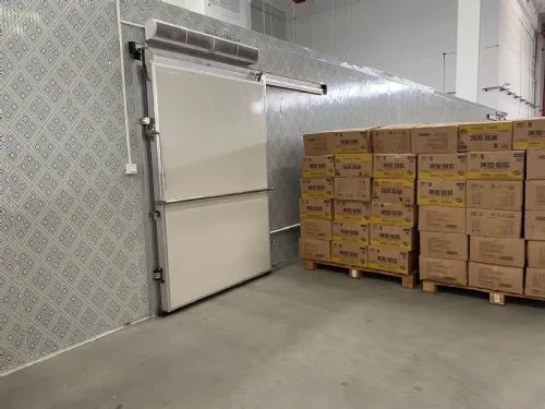 Vegetable/ Fruits /meat/ Beef Quick Freeze Warehouse 200mm
