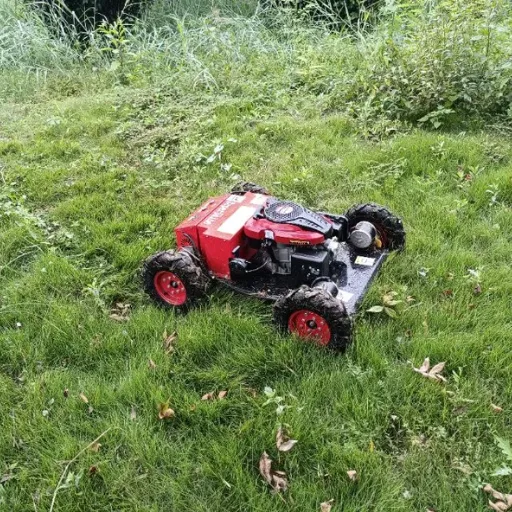 remote controlled brush cutter (2)