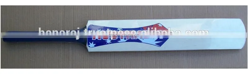 Best Cricket Bat Colourful Design