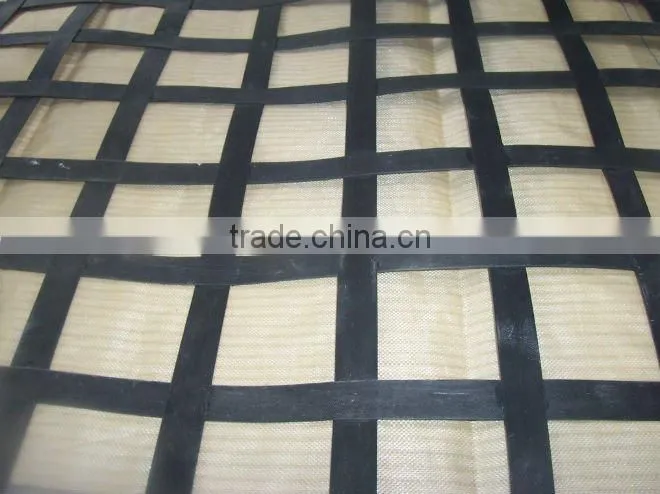steel plastic geogrid(TGSG4040-120120)
